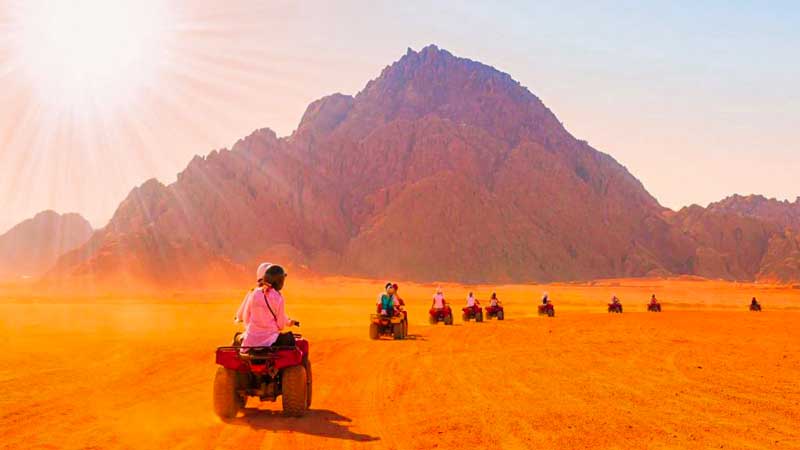 Desert Activities in the Red Sea