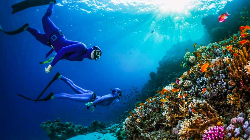 Diving and Snorkeling in the Red Sea