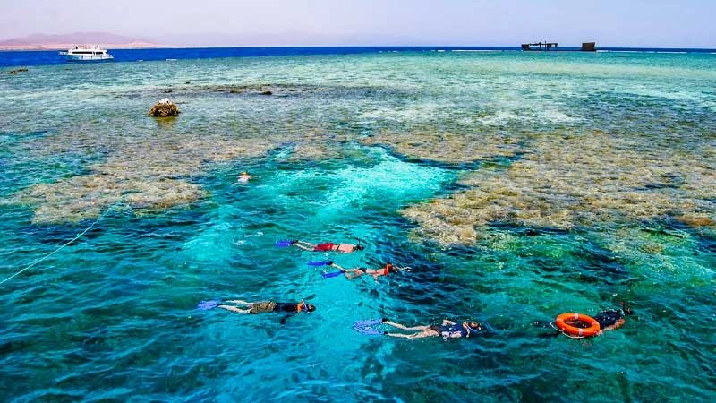 Diving in Egypt