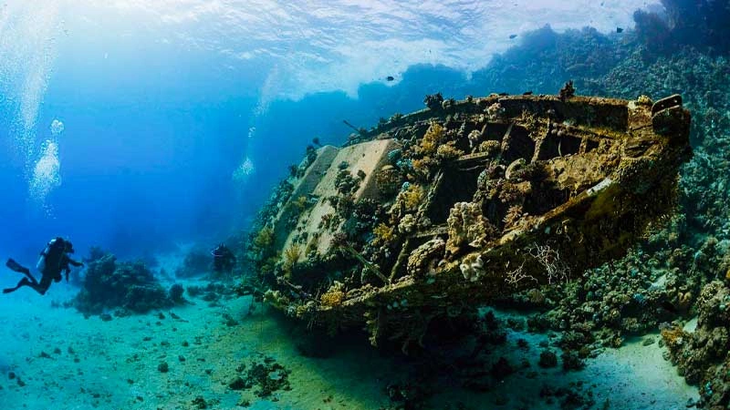 Diving in the Red Sea