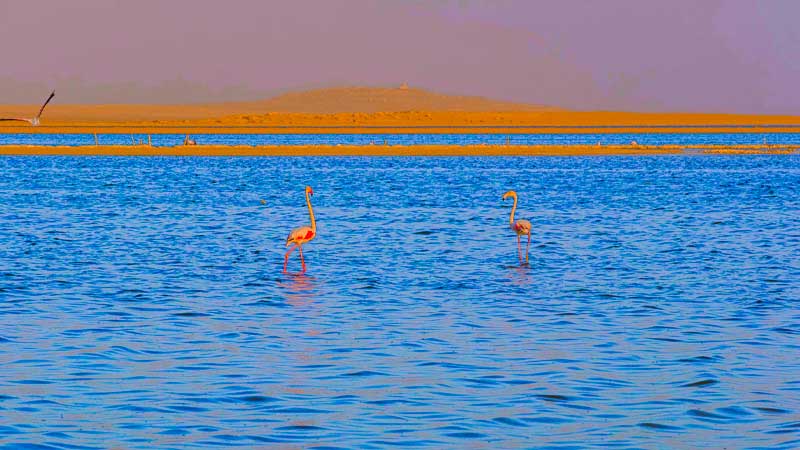 Lake Qarun