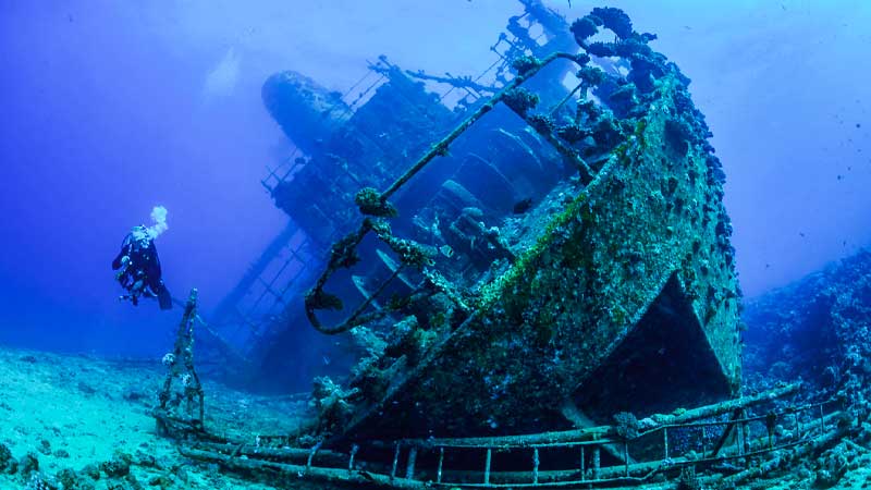 Diving in Sharm El Sheikh