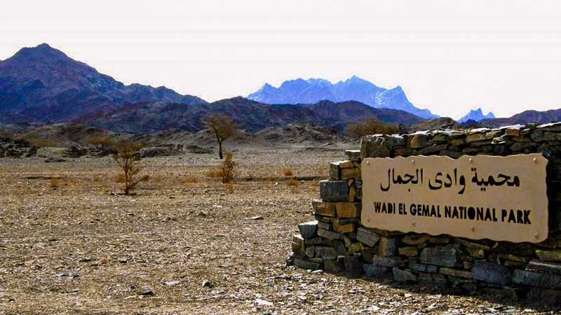 The Wadi El Gamal National Park