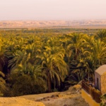the Oasis of Dakhla