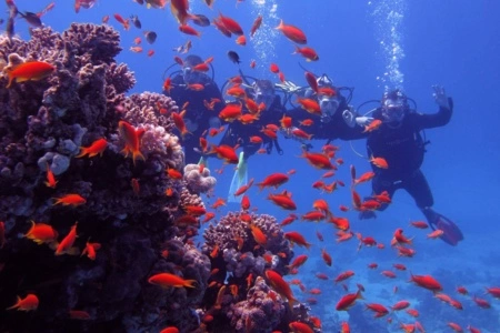 Snorkeling Day Trip to Giftun Island
