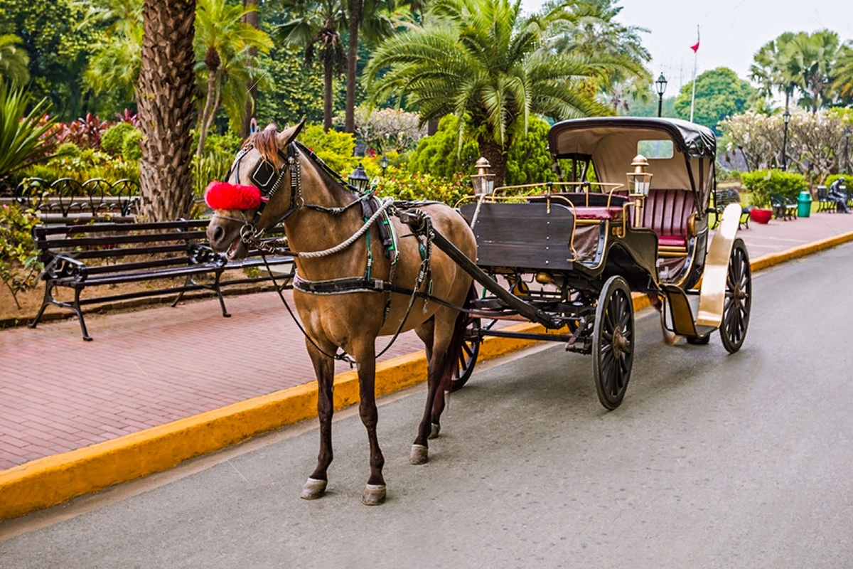 Cultural City Tour in Luxor by Horse-Drawn Carriage