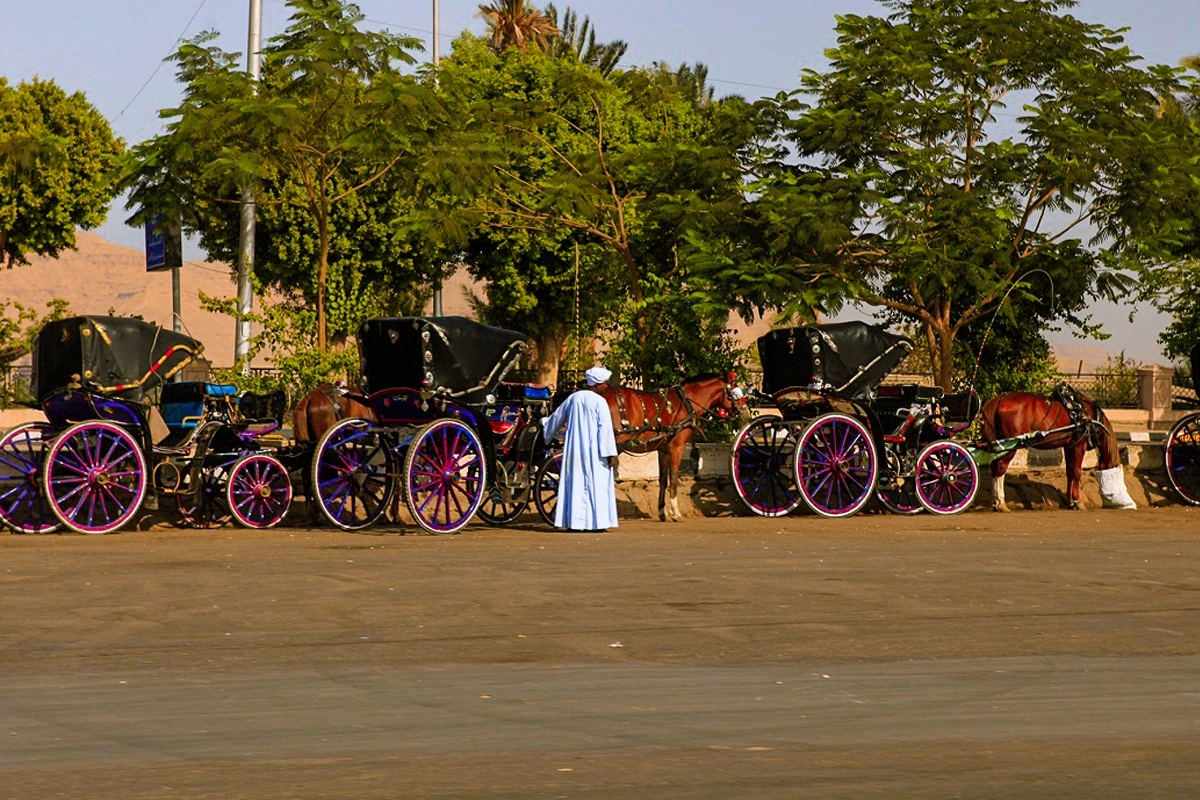 Cultural City Tour in Luxor by Horse-Drawn Carriage