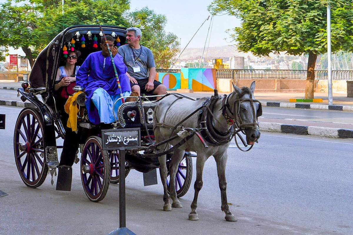 Cultural City Tour in Luxor by Horse-Drawn Carriage