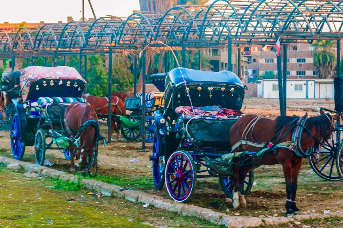 Cultural City Tour in Luxor by Horse-Drawn Carriage